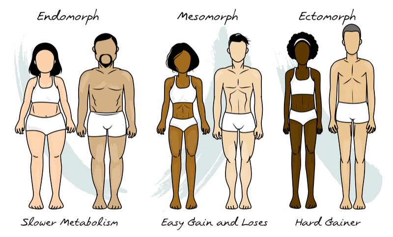 Ectomorph, Mesomorph & Endomorph Body type- Diet & Workout